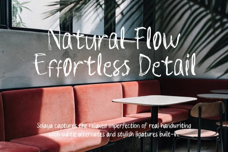 Solaya – A Dual-Style Tropical Font + Bonus Illustrations - Image 8