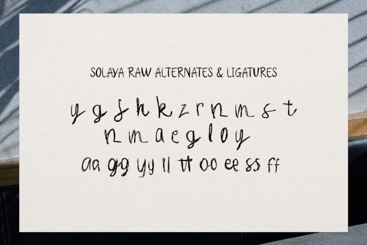 Solaya – A Dual-Style Tropical Font + Bonus Illustrations - Image 17