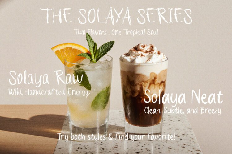 Solaya – A Dual-Style Tropical Font + Bonus Illustrations - Image 13