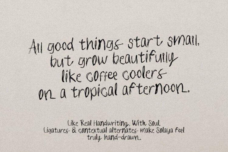 Solaya – A Dual-Style Tropical Font + Bonus Illustrations - Image 9